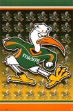 Miami Hurricanes- Logo Posters
