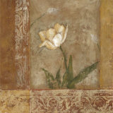 Morning Foral II Plakat av Judi Bagnato