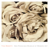 Rosen Kunstdruck von Tina Modotti