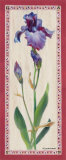 Iris Panel I Plakater av Ruth Baderian Iris Panel I Plakater av Ruth Baderian