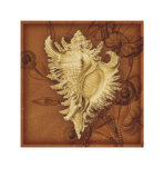 Conch Limited Edition by Lisa Steinkamp