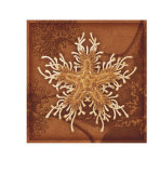 Starfish Limited Edition by Lisa Steinkamp