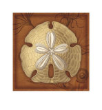 Sand Dollar Limited Edition by Lisa Steinkamp