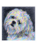 Sweetie Pie Giclee Print by Evelyn Morris Hecht