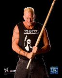 Sandman Photo