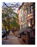 Trees and Brownstones Grow in Brooklyn Photographic Print by DW labs