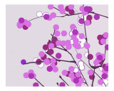 Violet Cherry Blossoms Photographic Print by Estela Lugo