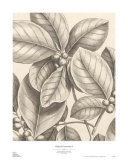 Tropical Connection I Posters by Louis Van Houtte