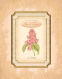 Eau de Parfum II Posters by Delphine Corbin
