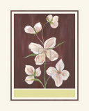 Clematis I Posters by Anne Gerarts