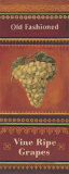 Vine Ripe Grapes Art by Kimberly Poloson