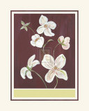 Clematis II Art by Anne Gerarts