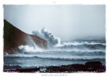 Neptuno Na Horta Posters by Jose-henrique Azevedo
