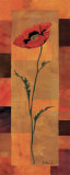 Goa Poppy Panel II Art par Paul Brent
