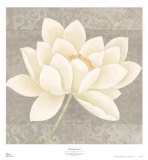 Platinum Luxe I Prints by Zachary Alexander