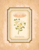 Eau de Parfum IV Posters by Delphine Corbin