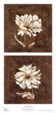 Brocade Láminas por Michael King