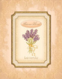 Eau de Parfum III Prints by Delphine Corbin