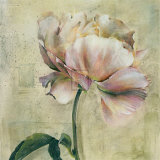 Floral Blush II Posters by Dennis Carney
