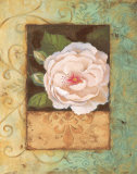 Antique Rose II Prints by Jillian Jeffrey Antique Rose II Prints by Jillian Jeffrey
