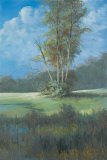 Azure Sky II Affiches par Linda Wacaster