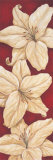 Bella Grande Lilies Posters by Paul Brent Bella Grande Lilies Posters by Paul Brent