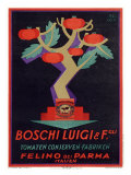 Italian Boschi Luigi Tomato Sauce Poster Giclee Print