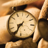 Lost in Time I Pósters por Philip Clayton-thompson Lost in Time I Pósters por Philip Clayton-thompson