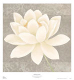 Platinum Luxe II Print by Zachary Alexander
