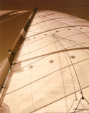 Windward Sail I Affiche par Alan Hausenflock