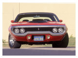 1971 Plymouth Road Runner Lámina giclée por David Newhardt 1971 Plymouth Road Runner Lámina giclée por David Newhardt