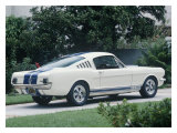 1965 Shelby GT350 Giclee Print by David Newhardt