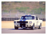 1965 Shelby GT350R Giclee Print by David Newhardt