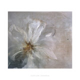Volupte Prints by Clotilde Ancarani