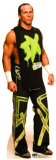 Shawn Michaels Stand Up