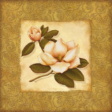 Gold Magnolia I Poster by Daphne 