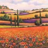 Fields of Poppies I Kunstdrucke von T. C. Chiu