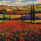 Fields of Poppies II Posters by T. C. Chiu