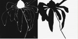 Juxtapose Stretched Canvas Print by Filippo Ioco Juxtapose Stretched Canvas Print by Filippo Ioco
