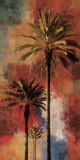 Mustique II Láminas por John Seba