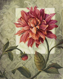 Trellised Dahlia Prints by Lisa Audit
