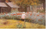 Poppy Garden Stretched Canvas Print by James Wells Champney Poppy Garden Stretched Canvas Print by James Wells Champney