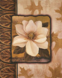 White Gardenia Prints by T. C. Chiu