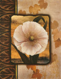 White Poppy Art by T. C. Chiu