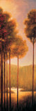 Through the Woods III Láminas por Neil Thomas