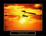 Passion: Hang Glider Art