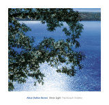 Silver Light, 2006 Plakater af Alice Dalton Brown