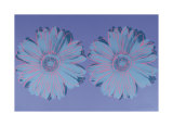 Daisy, c.1982 Plakaty autor Andy Warhol