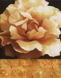 Magnolia Gold Tile II Posters by T. C. Chiu Magnolia Gold Tile II Posters by T. C. Chiu