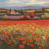 Poppy Pastures I Affiches par T. C. Chiu